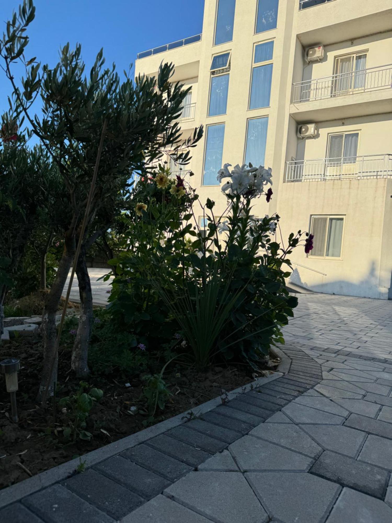 Kunevain Guest House Lezha Kültér fotó